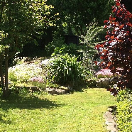 Ferienwohnung Baars Bad Sachsa Bagian luar foto