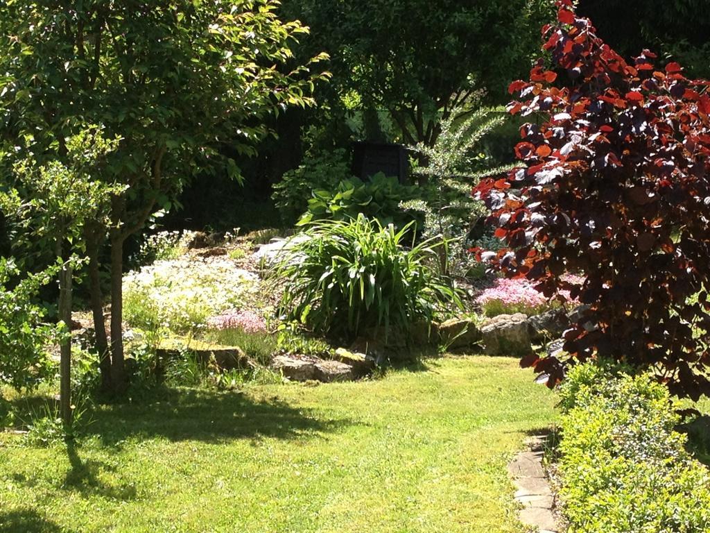Ferienwohnung Baars Bad Sachsa Bagian luar foto